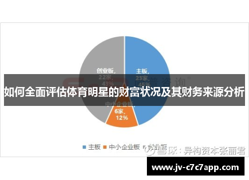 如何全面评估体育明星的财富状况及其财务来源分析