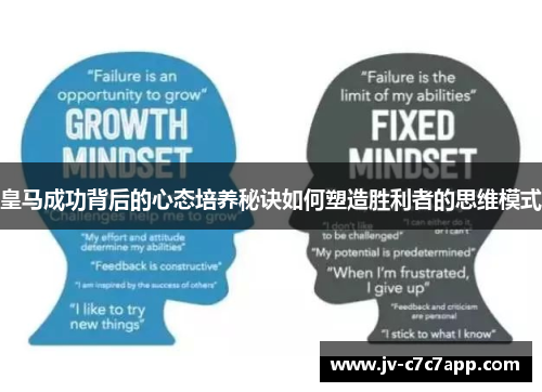 皇马成功背后的心态培养秘诀如何塑造胜利者的思维模式 皇马成功背后的心态培养秘诀如何塑造胜利者的思维模式