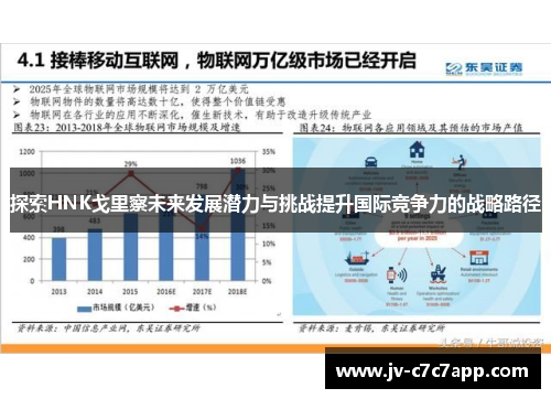 探索HNK戈里察未来发展潜力与挑战提升国际竞争力的战略路径