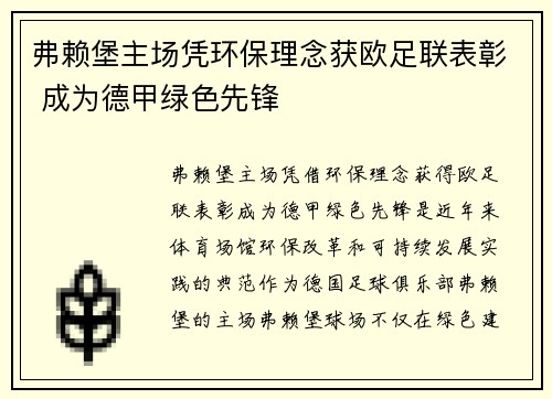 弗赖堡主场凭环保理念获欧足联表彰 成为德甲绿色先锋 弗赖堡主场凭环保理念获欧足联表彰 成为德甲绿色先锋